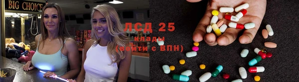 ГАЛЛЮЦИНОГЕННЫЕ ГРИБЫ Михайловск