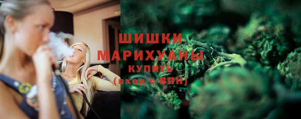 ГАЛЛЮЦИНОГЕННЫЕ ГРИБЫ Белоозёрский