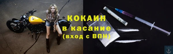 шишки Михайлов