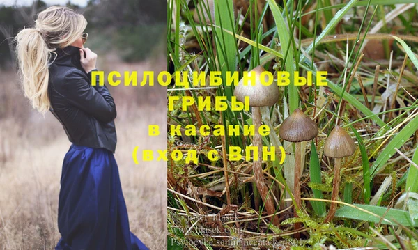 шишки Михайлов