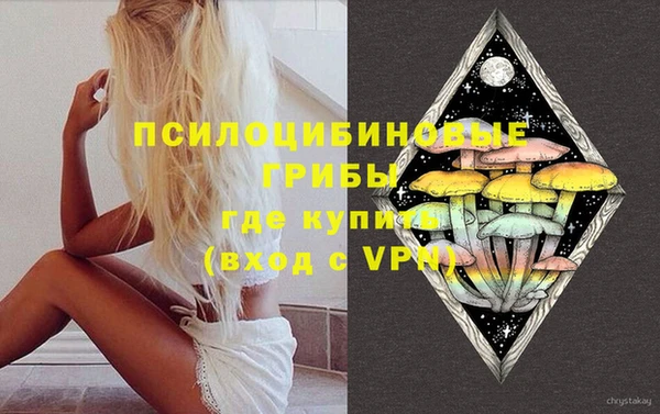 ГАЛЛЮЦИНОГЕННЫЕ ГРИБЫ Михайловск