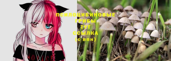 шишки Михайлов