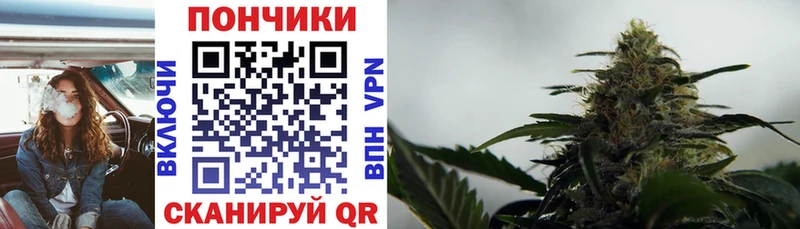 Бошки марихуана семена  цена   кракен вход  Жуков 