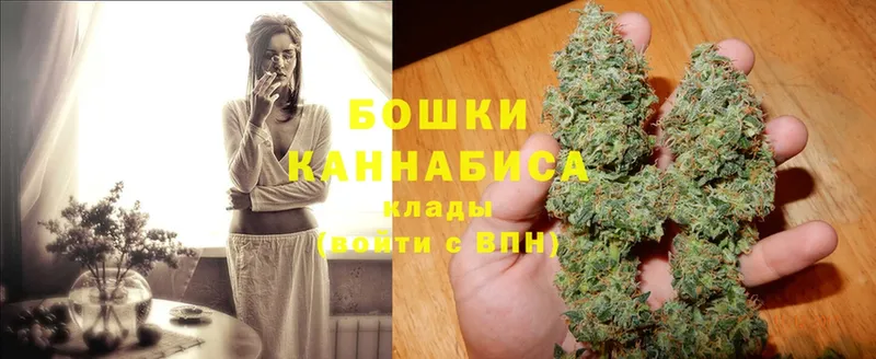 наркота  Жуков  Бошки марихуана THC 21% 